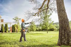 Best Tree Cabling and Bracing  in Brooktrails, CA
